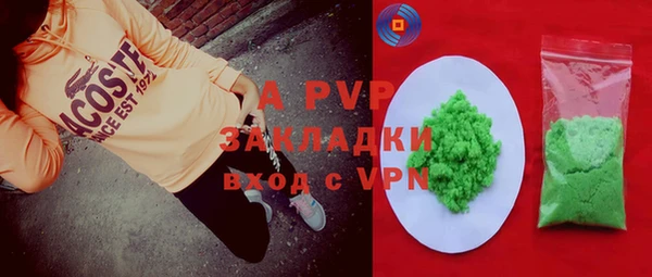 шишки Белокуриха