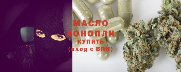 шишки Белокуриха