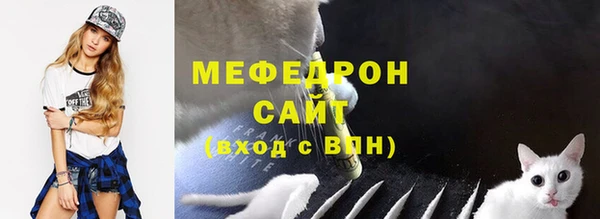 шишки Белокуриха