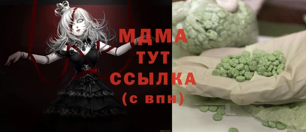 шишки Белокуриха