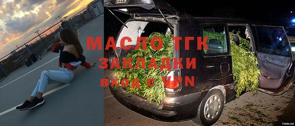 шишки Белокуриха