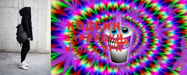 шишки Белокуриха