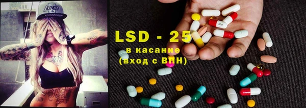шишки Белокуриха