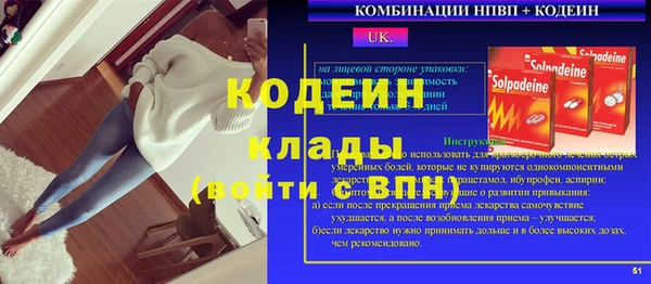 сатива Бородино