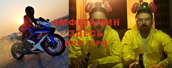 шишки Белокуриха