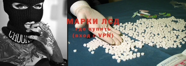 шишки Белокуриха