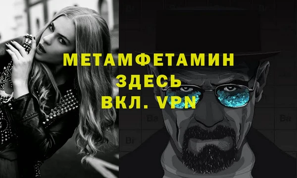 шишки Белокуриха