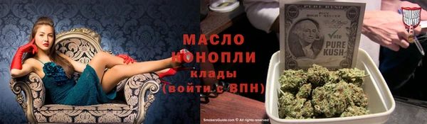 шишки Белокуриха