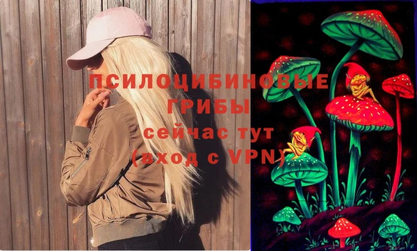 a pvp Беломорск
