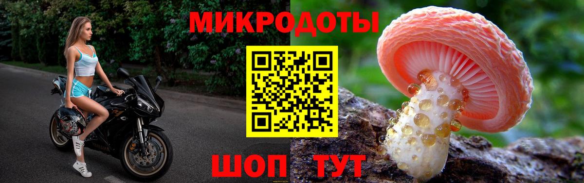 Галлюциногенные грибы Cubensis Бутурлиновка