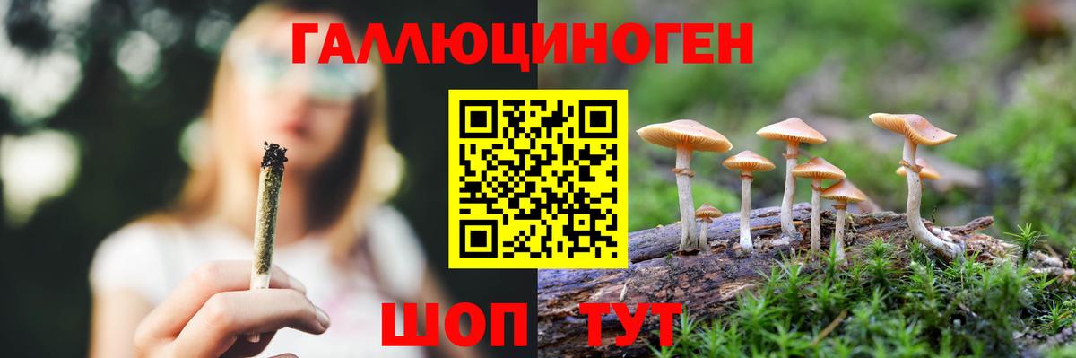 Галлюциногенные грибы Psilocybine cubensis  Галлюциногенные грибы GOLDEN TEACHER  Бутурлиновка 