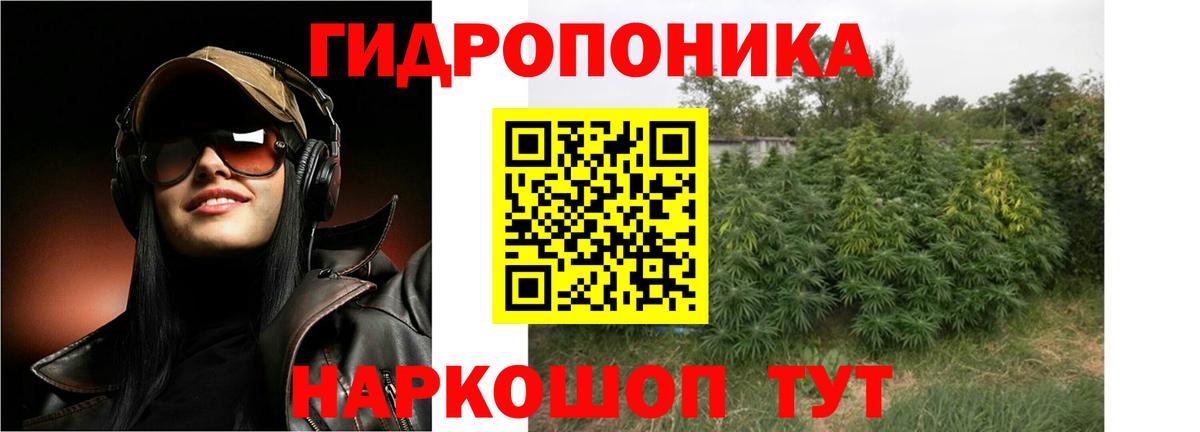 Бошки Шишки гибрид Бутурлиновка